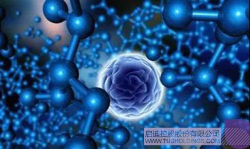 1623394485496940.jpg 2 拷貝.jpg