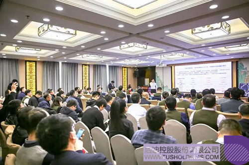 1705631655232518.jpg 2c.jpg